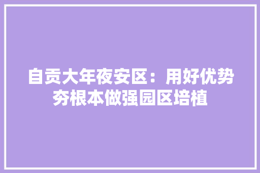 自贡大年夜安区：用好优势夯根本做强园区培植