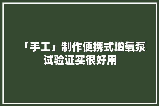 「手工」制作便携式增氧泵试验证实很好用