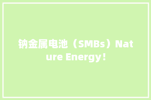 钠金属电池（SMBs）Nature Energy！