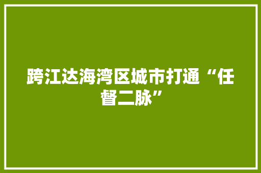 跨江达海湾区城市打通“任督二脉”