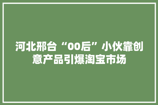 河北邢台“00后”小伙靠创意产品引爆淘宝市场