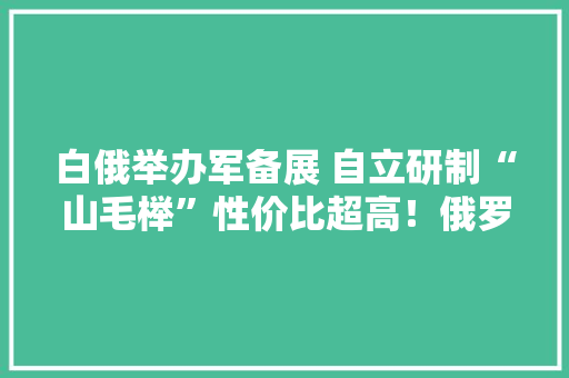 白俄举办军备展 自立研制“山毛榉”性价比超高！俄罗斯你怎么看