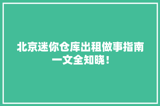 北京迷你仓库出租做事指南一文全知晓！