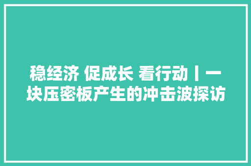 稳经济 促成长 看行动丨一块压密板产生的冲击波探访广平凯王压密科技有限公司