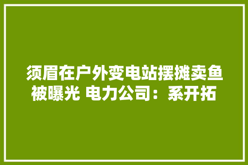 须眉在户外变电站摆摊卖鱼被曝光 电力公司：系开拓商临时供电设备已销户停止供电