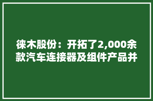徕木股份：开拓了2,000余款汽车连接器及组件产品并已在2023岁尾立项TSN系统研发项目