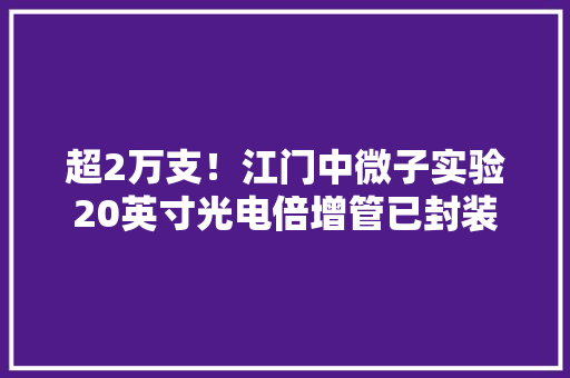 超2万支！江门中微子实验20英寸光电倍增管已封装