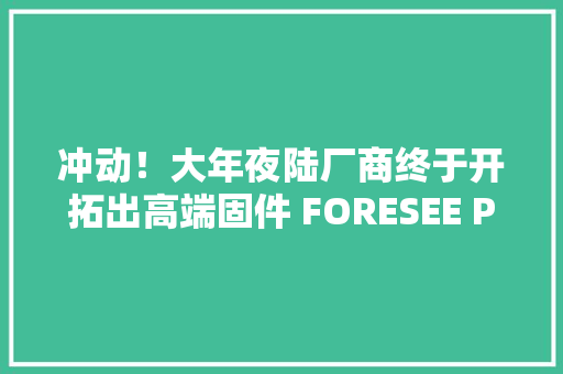 冲动！大年夜陆厂商终于开拓出高端固件 FORESEE P800 512GB SSD评测