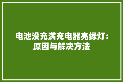 电池没充满充电器亮绿灯：原因与解决方法,充电器能带上飞机吗。