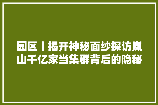 园区丨揭开神秘面纱探访岚山千亿家当集群背后的隐秘与荣光