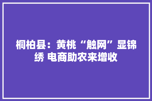 桐柏县：黄桃“触网”显锦绣 电商助农来增收