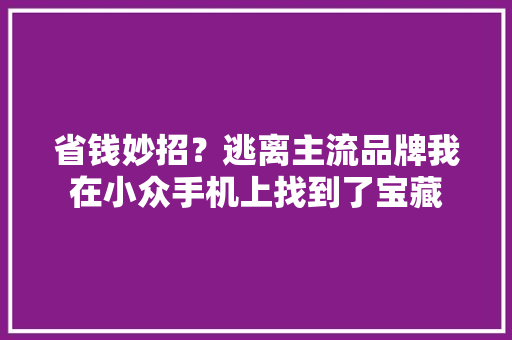 省钱妙招？逃离主流品牌我在小众手机上找到了宝藏