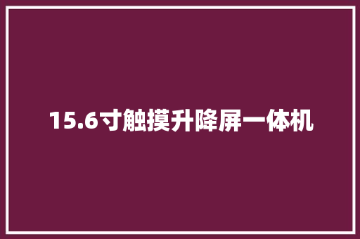 15.6寸触摸升降屏一体机