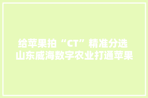 给苹果拍“CT”精准分选 山东威海数字农业打通苹果家当链