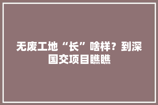 无废工地“长”啥样？到深国交项目瞧瞧