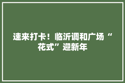 速来打卡！临沂调和广场“花式”迎新年