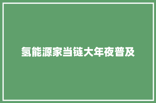 氢能源家当链大年夜普及