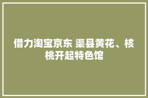 借力淘宝京东 渠县黄花、核桃开起特色馆
