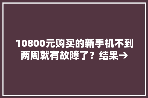 10800元购买的新手机不到两周就有故障了？结果→