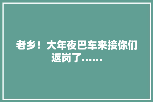 老乡！大年夜巴车来接你们返岗了…… 老乡！大年夜巴车来接你们返岗了…… 互联通信