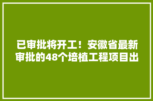 已审批将开工！安徽省最新审批的48个培植工程项目出炉速看名单