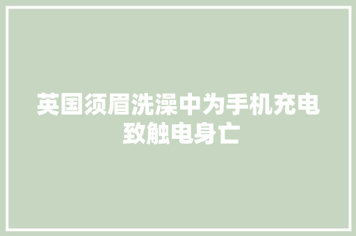 英国须眉洗澡中为手机充电 致触电身亡