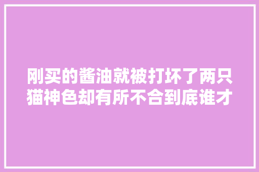 刚买的酱油就被打坏了两只猫神色却有所不合到底谁才是真凶？