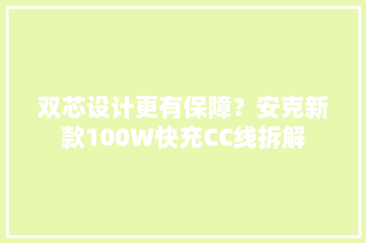 双芯设计更有保障？安克新款100W快充CC线拆解