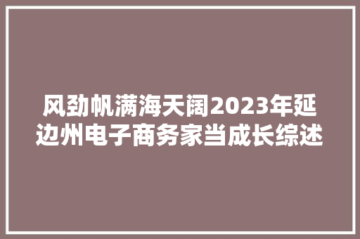 风劲帆满海天阔2023年延边州电子商务家当成长综述