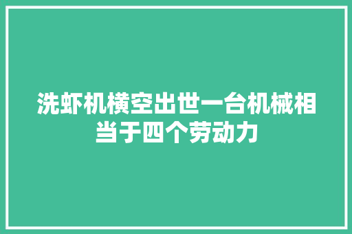 洗虾机横空出世一台机械相当于四个劳动力