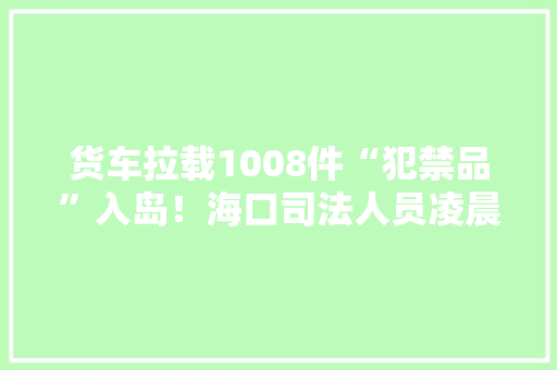 货车拉载1008件“犯禁品”入岛！海口司法人员凌晨拦截→