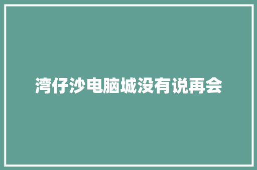 湾仔沙电脑城没有说再会
