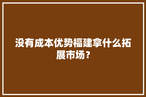 没有成本优势福建拿什么拓展市场？