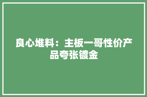 良心堆料：主板一哥性价产品夸张镀金