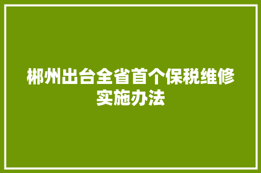 郴州出台全省首个保税维修实施办法