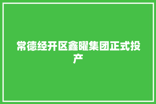 常德经开区鑫曜集团正式投产