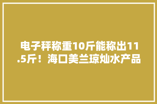电子秤称重10斤能称出11.5斤！海口美兰琼灿水产品摊被查处