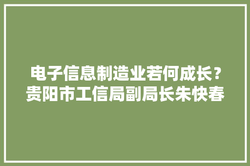 电子信息制造业若何成长？贵阳市工信局副局长朱快春这样说→