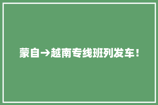 蒙自→越南专线班列发车！