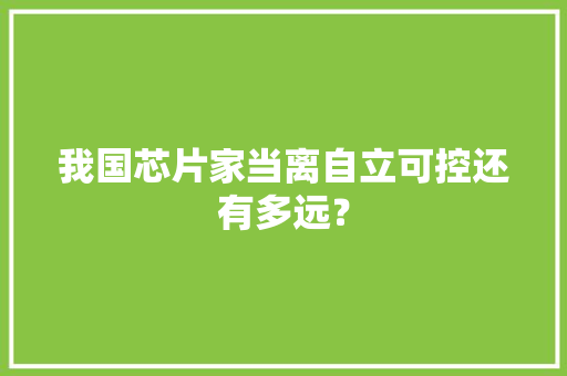 我国芯片家当离自立可控还有多远？