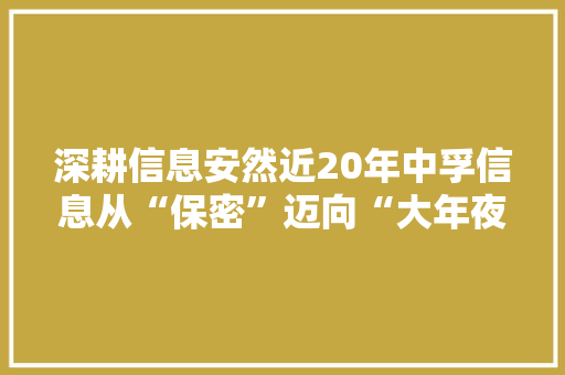 深耕信息安然近20年中孚信息从“保密”迈向“大年夜安然”