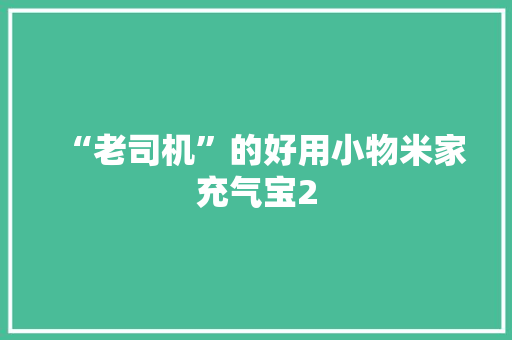 “老司机”的好用小物米家充气宝2,气压多少帕适合钓鱼。