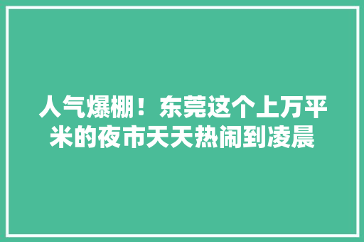 人气爆棚！东莞这个上万平米的夜市天天热闹到凌晨