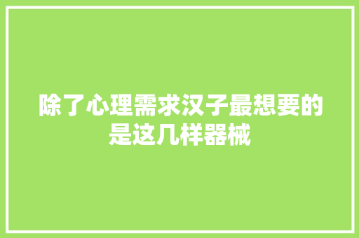 除了心理需求汉子最想要的是这几样器械