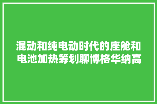 混动和纯电动时代的座舱和电池加热筹划聊博格华纳高压液体加热器