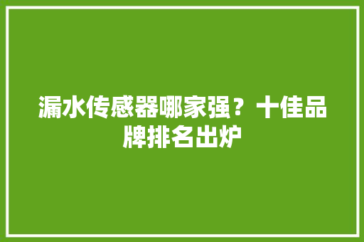 漏水传感器哪家强？十佳品牌排名出炉