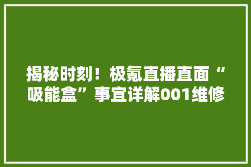 揭秘时刻！极氪直播直面“吸能盒”事宜详解001维修成本