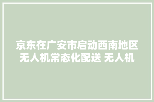 京东在广安市启动西南地区无人机常态化配送 无人机送“年货”包裹,无人机驾驶证怎么考取。