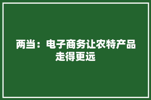 两当：电子商务让农特产品走得更远,电商平台推广公司。