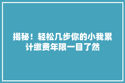 揭秘！轻松几步你的小我累计缴费年限一目了然